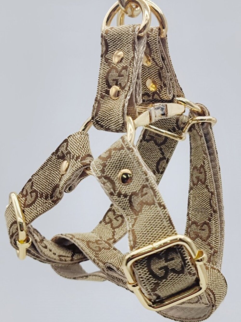 Luxury Leash for Small Dogs